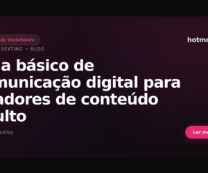 Guia básico de comunicação digital para criadores de conteúdo adulto